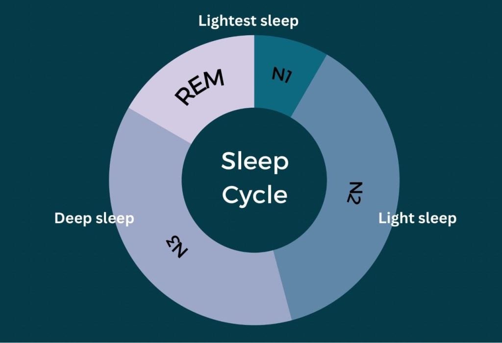 How Does Sleep Affect Us?